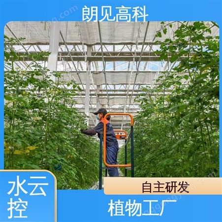 SYK-ZWGC100朗见高科 农业全生命期系统 应用种植产业园 植物工厂系统