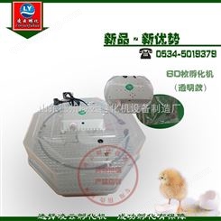 山鸡孵化器 家用微型孵化机 60枚透明型孵化箱